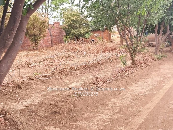 Prime stand with Cottage in Galloway Park, Norton 