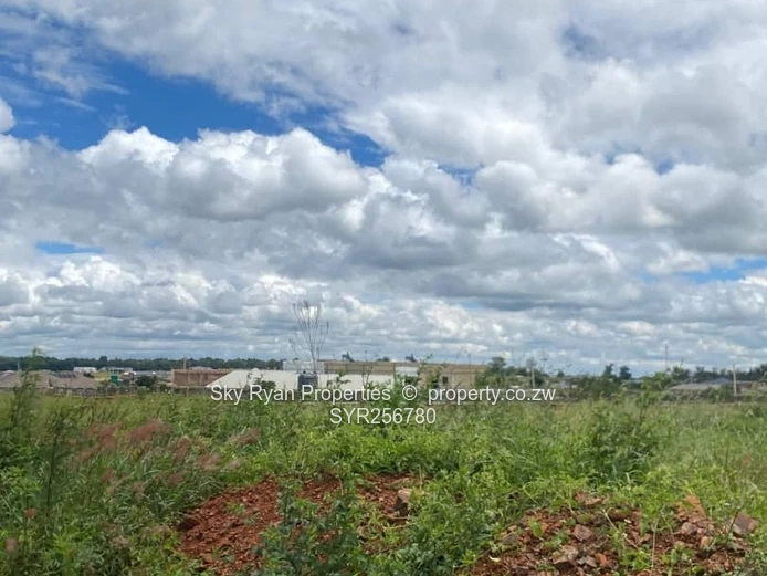 Nyeredzi Pomona Stand For Sale 