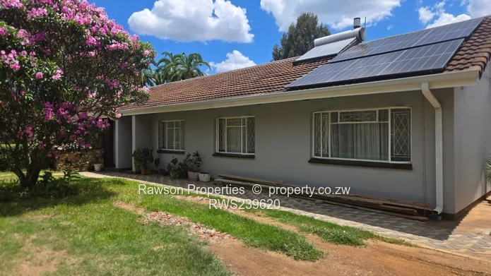 New Mandate - Vainona Gem