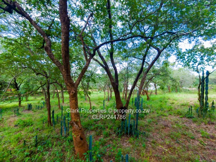 Prime 4,000sqm Residential Stand in Kadoma