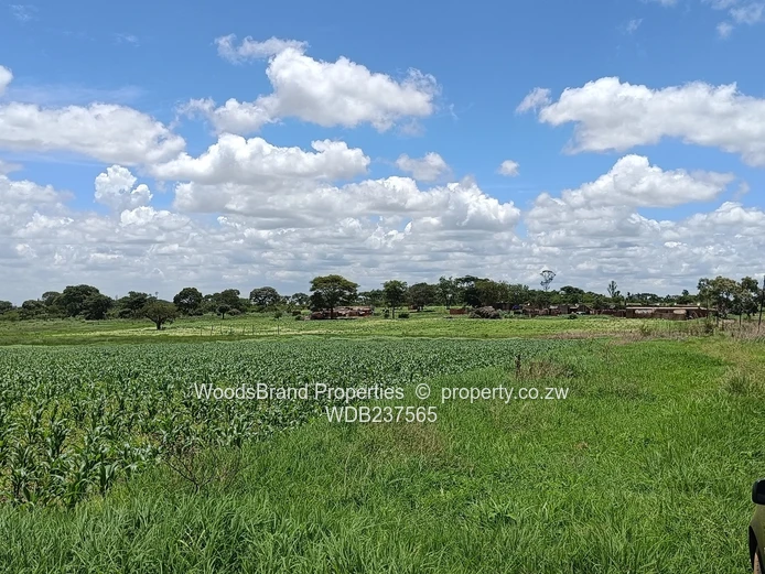 Mt Hampden land For Sale