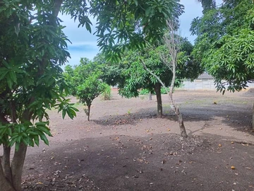 3 Bedroom Townhouse Complex