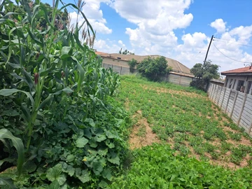 Stands & Residential Land