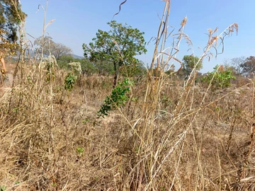 Sally Mugabe Heights Stand for sale 