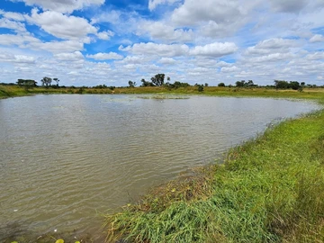 Stands & Residential Land