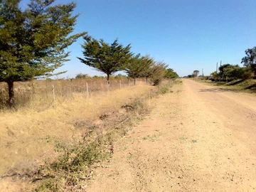 Prime 1.62 Ha Agricultural Land for Sale in Norton