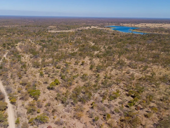 Farm & Agricultural Land