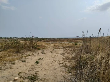 Commercial & Industrial Land