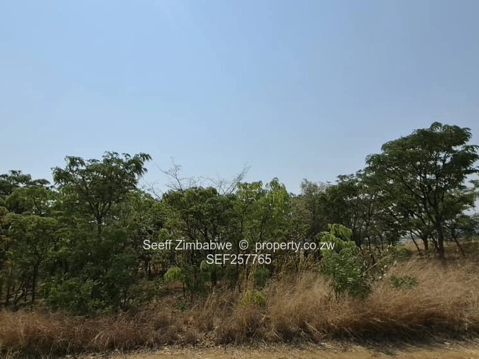 4800 m² Stand in Galloway — Norton