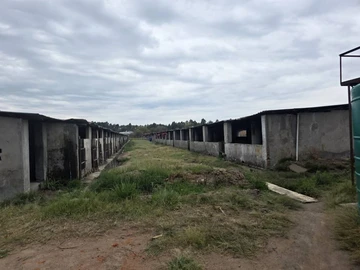 Farm & Agricultural Land