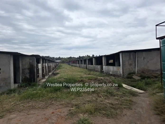 An opportunity not to miss