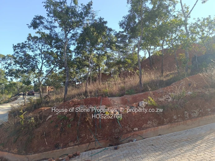 FOR SALE: 1500sqm Stand | Carrick Creagh Estate | $110k