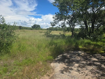 Farm & Agricultural Land