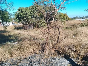 Commercial & Industrial Land