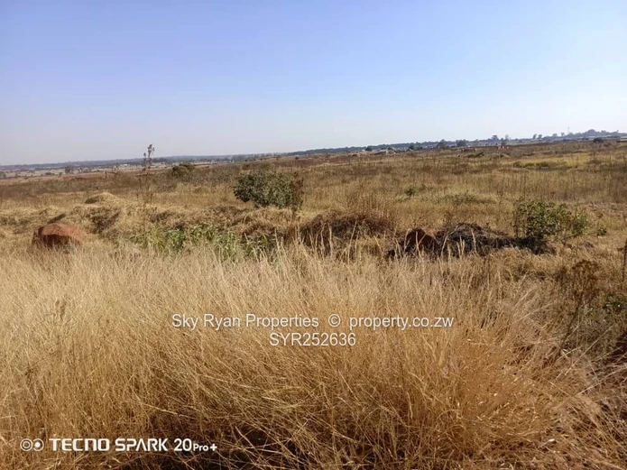 Nyeredzi Pomona Stand For Sale