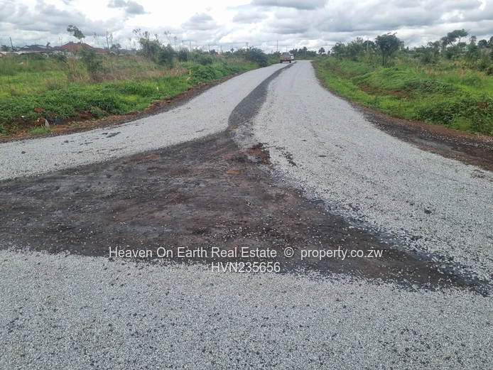 Beautiful stands for sale 