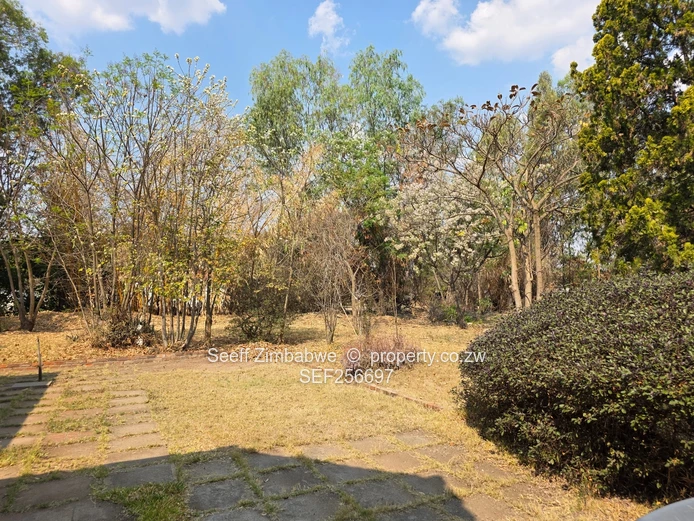 Hatfield: 4-Bed Home on 5,764 m² with Mature Trees
