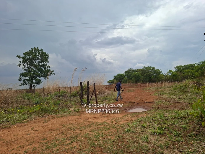 Beatrice Farm for sale (Sole Mandate)