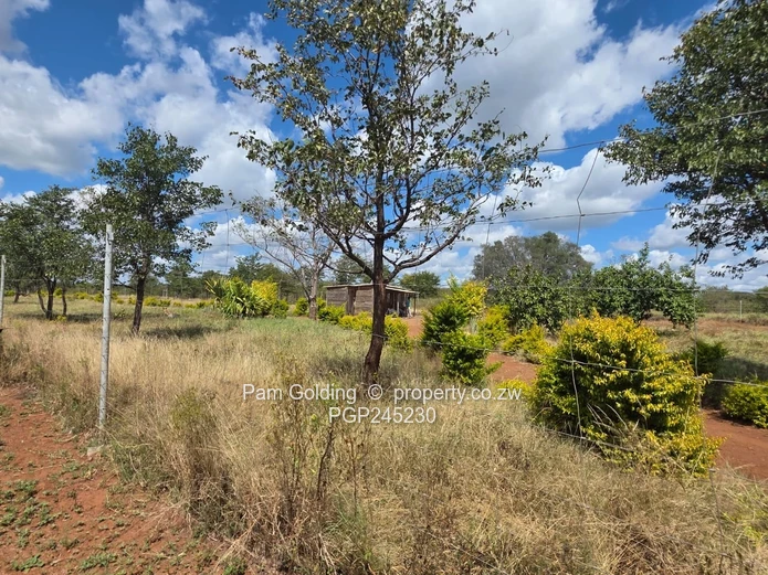 Prim 154ha Agricultural Farm Near Bulawayo Your Investment Awaits!