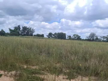 Farm & Agricultural Land