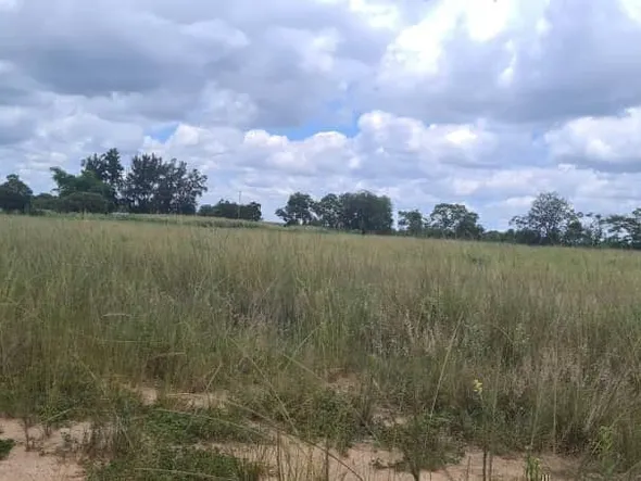 Farm & Agricultural Land