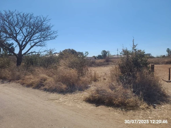 Stands & Residential Land