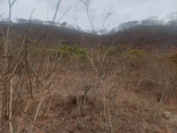 Farm & Agricultural Land