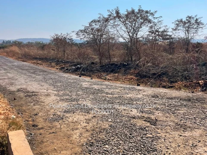 Chinhoyi Umzari location:1181 sqm avail for USD$35 430. Ready to build
