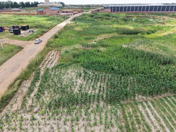 Commercial & Industrial Land