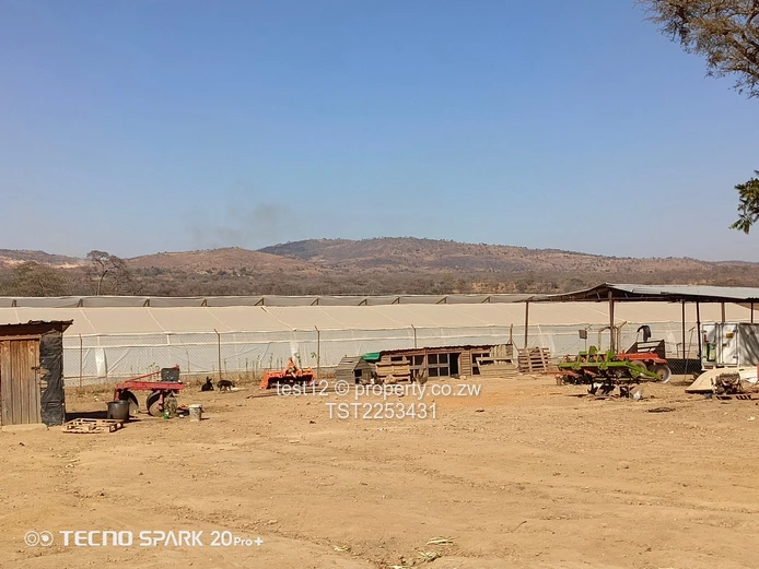 Mazowe Farm For Sale  (Sole Mandate)