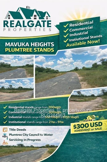 Plumtree Stands Now Available (Mavuka Heights)
