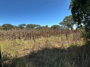 Farm & Agricultural Land