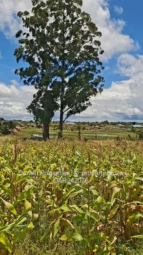 Waterfront Agricultural Land With Several Development Options 