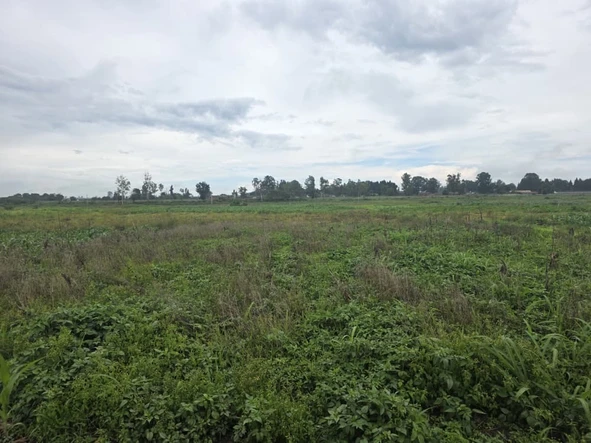 Commercial & Industrial Land