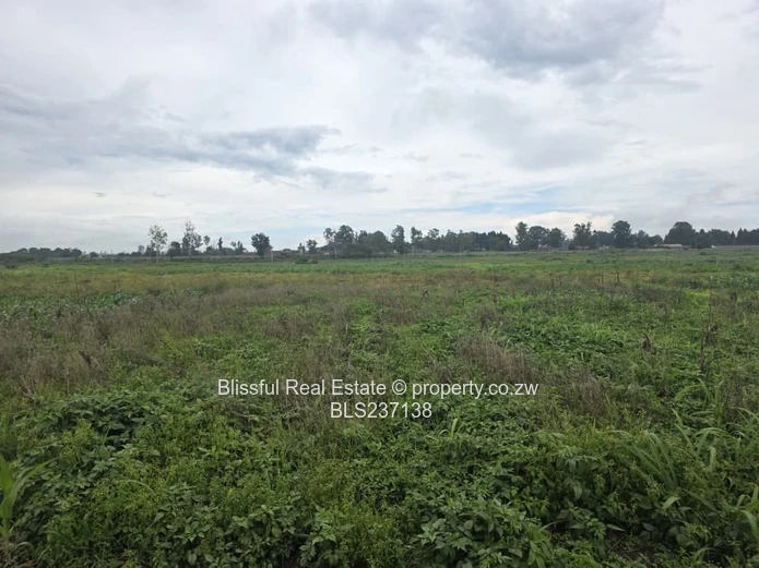Pomona Township Stand for Sale