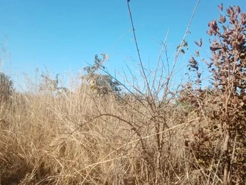 Farm & Agricultural Land
