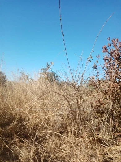 Chegutu Plots