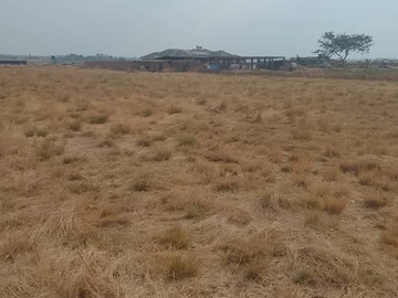 Farm & Agricultural Land