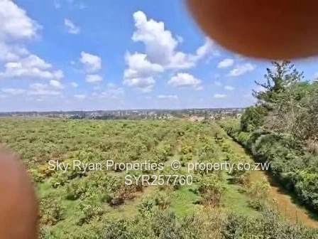 Igava Agricultural Plots – Marondera