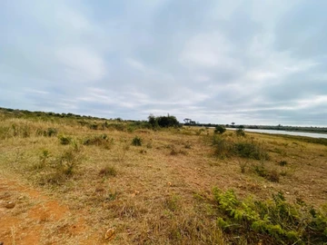 Farm & Agricultural Land