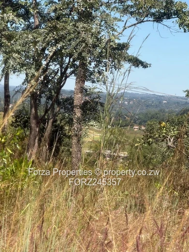 41 Hectares of Prime Land in Borrowdale Brooke Area with Endless Development Potential