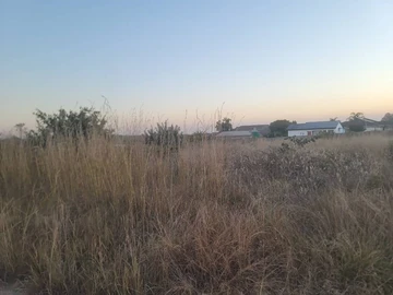 Stands & Residential Land