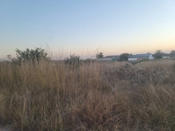 Stands & Residential Land