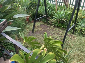 2 Bedroom Garden Flat