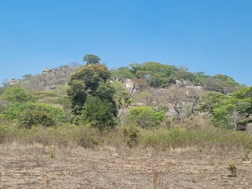 Farm & Agricultural Land