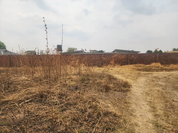 Stands & Residential Land