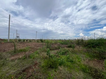 Stands & Residential Land