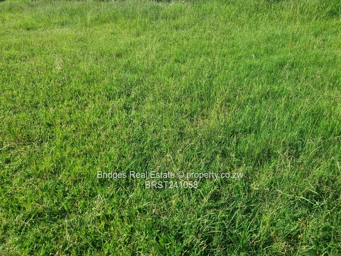 Agro Residential Parcel (Sole Mandate)