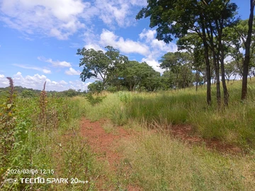 Farm & Agricultural Land