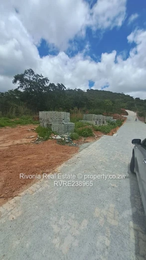 2000m² tree-lined stand with new paved road — Carrick Creagh